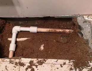 解放测漏水哪家好