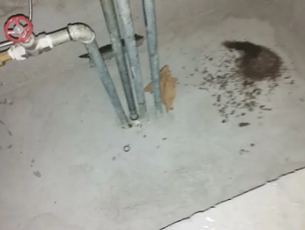 解放卫生间测漏水价格明细