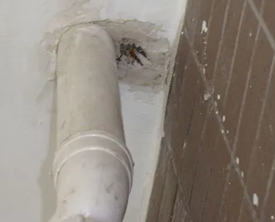 解放漏水检测哪家好